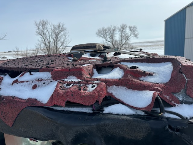 2021 CASE IH WD2504 Wind Rower - Image 2