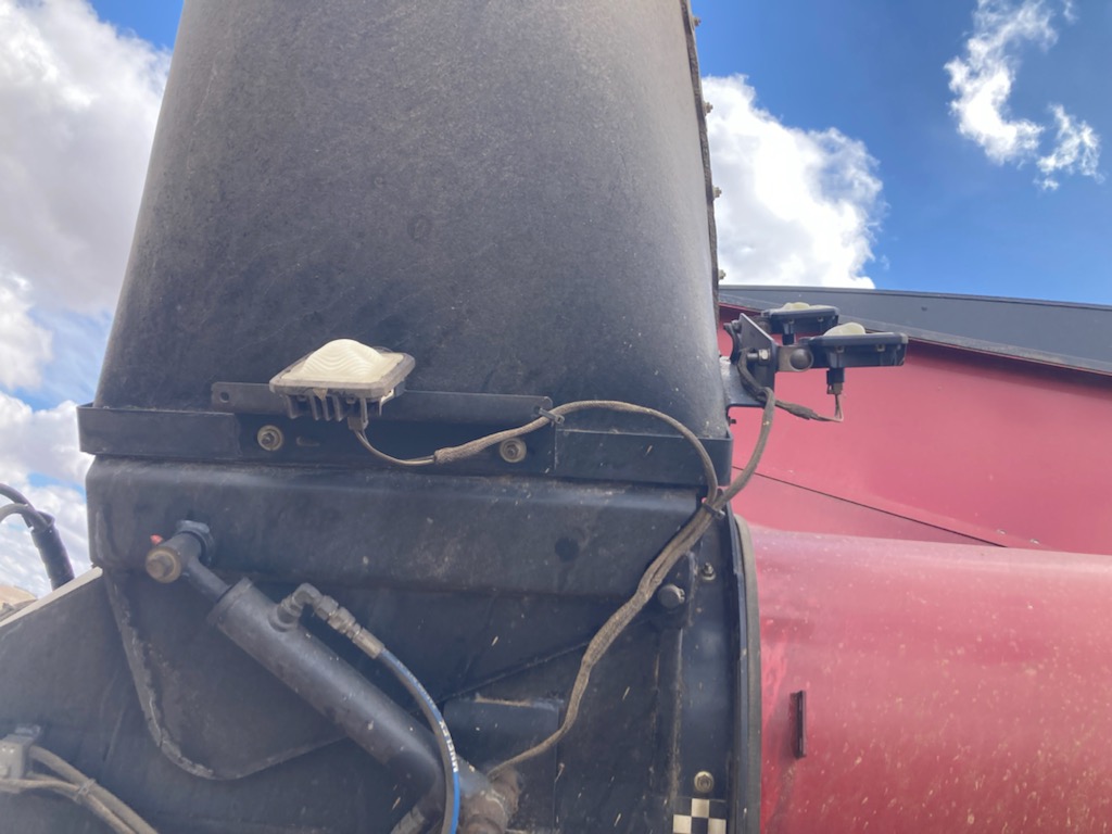 2021 CASE IH WD2504 Wind Rower - Image 7