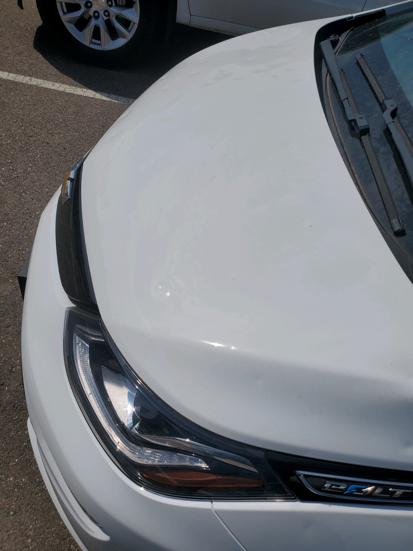 2019 Chevy Bolt - Image 5