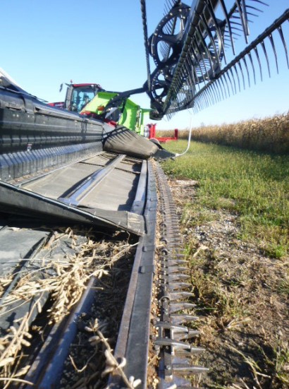 2010 CASE IH 2162 Flex Draper Header - Image 11