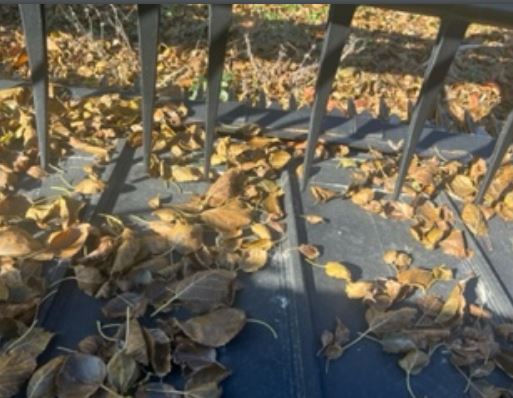 2015 MacDon Header- 35’ - Image 3