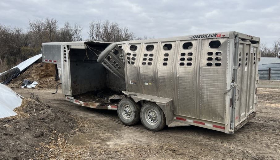 2014 Wilson Livestock Trailer