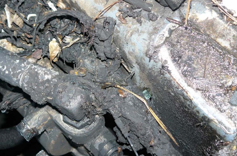 2005 Mustang MTL25 Skid Steer - Image 24