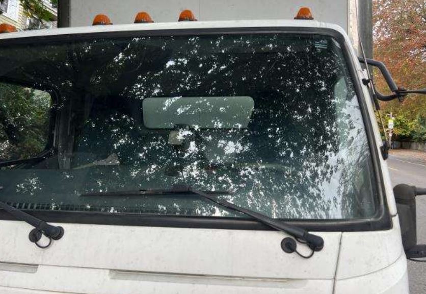 2012 Mitsubishi Fuso Box Truck - Image 12