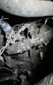 2022 John Deere 333G Skid Steer - Image 12