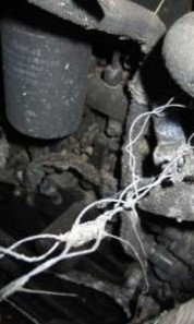 2022 John Deere 333G Skid Steer - Image 20