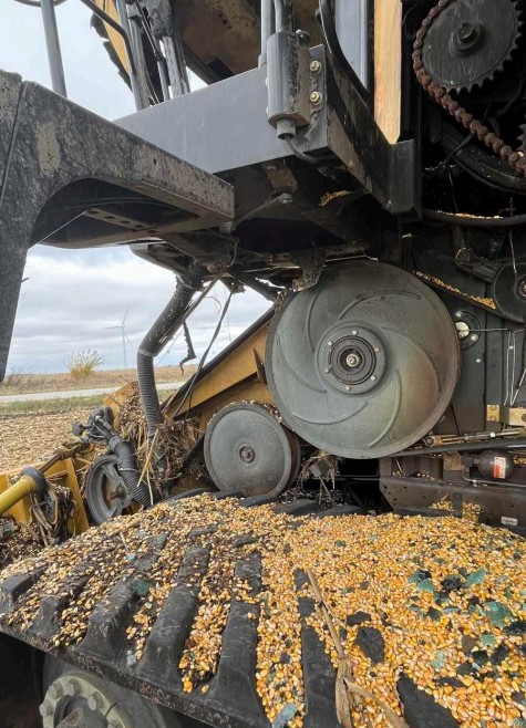 2010 Caterpillar Lexion 595R Combine - Image 15