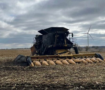 2010 Caterpillar Lexion 595R Combine - Image 20