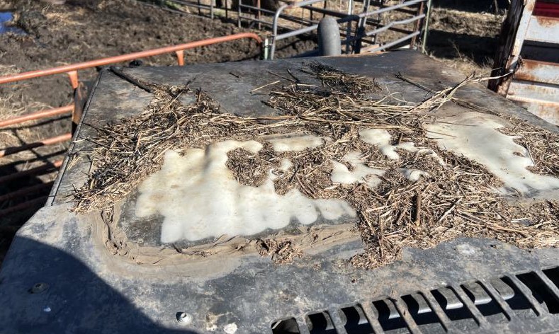 2015 CASE TR270 Skid Steer - Image 4