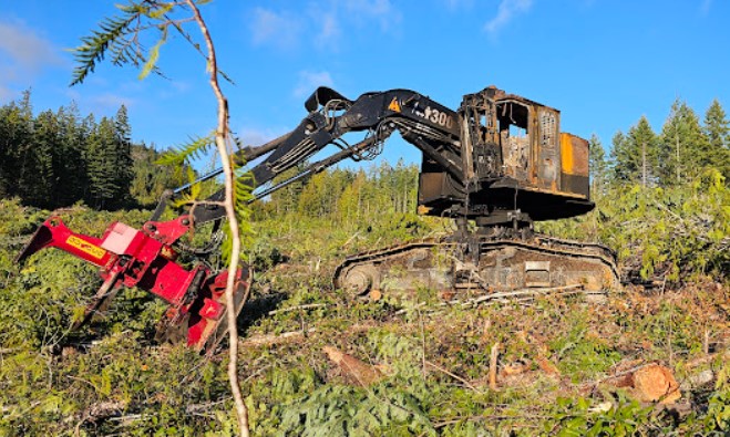 2016 Caterpillar 522B Buncher - Image 2