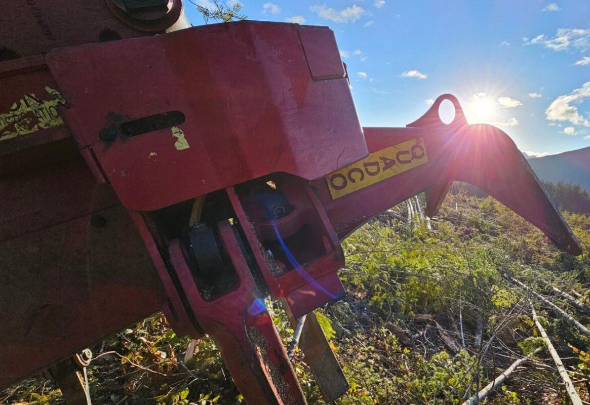 2016 Caterpillar 522B Buncher - Image 19