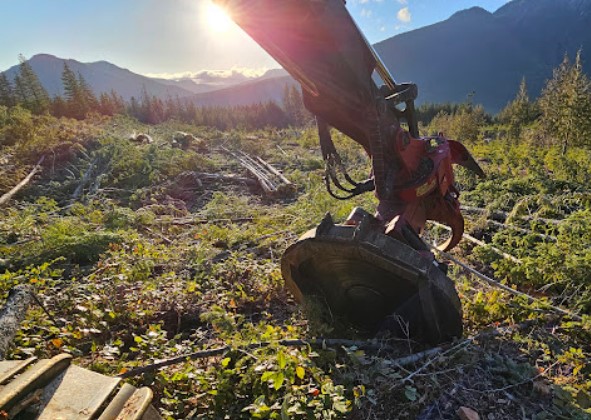 2016 Caterpillar 522B Buncher - Image 8