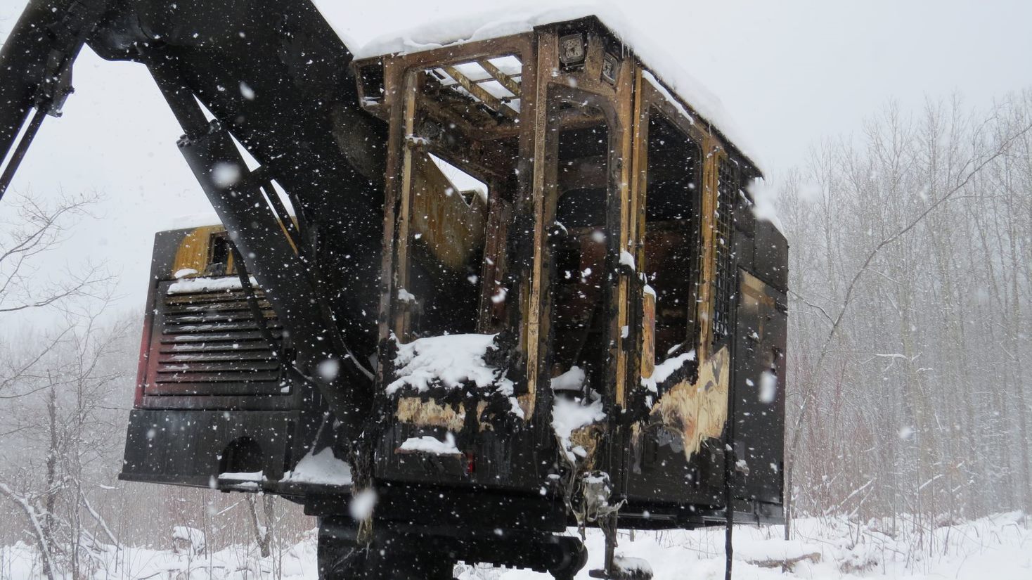 2016 Timberpro TL725C Processor - Image 2