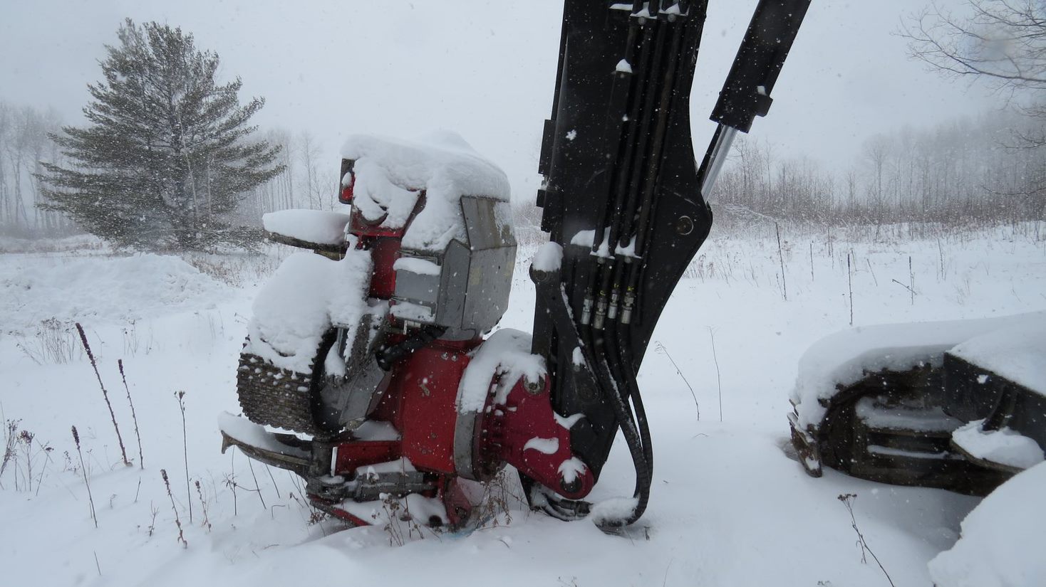 2016 Timberpro TL725C Processor - Image 10