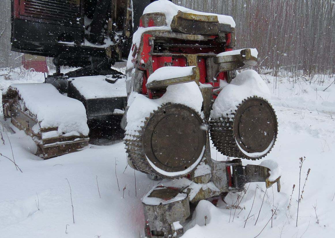 2016 Timberpro TL725C Processor - Image 11