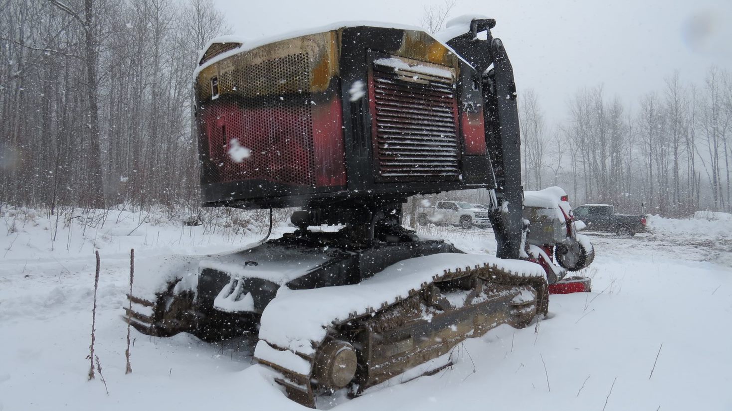 2016 Timberpro TL725C Processor - Image 4