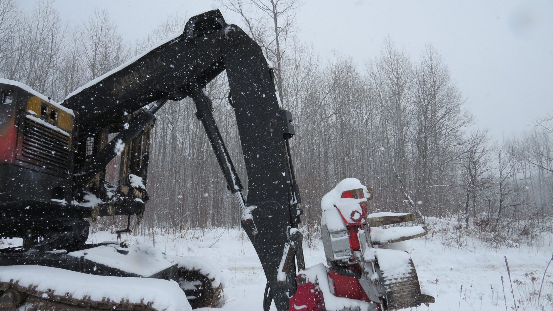 2016 Timberpro TL725C Processor - Image 6