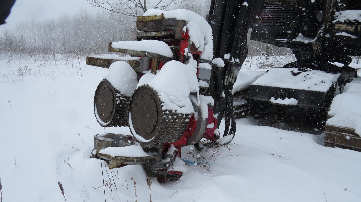 2016 Timberpro TL725C Processor - Image 9