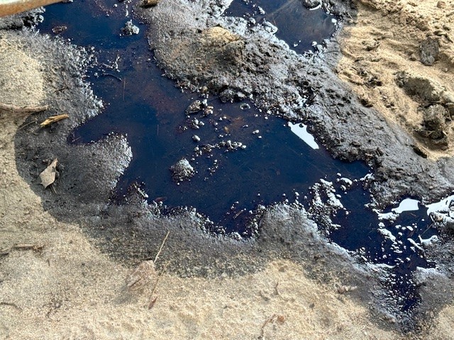 2019 John Deere 643L-II Feller Buncher - Image 15