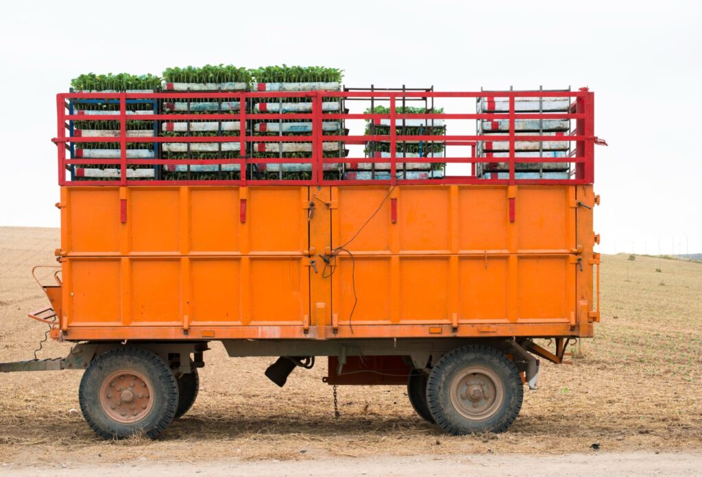 consider-the-trailers-age-before-buying