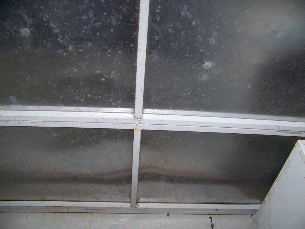 2004 Bison Alumasport Horse Trailer - Image 16