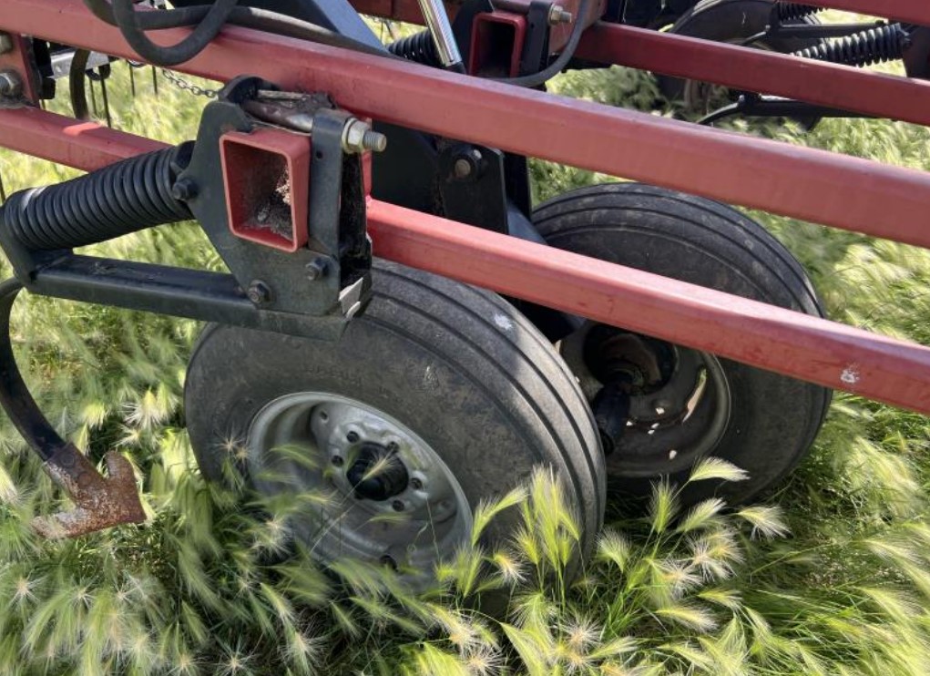 2012 CASE IH Tigermate 200 Field Cultivator - Image 6