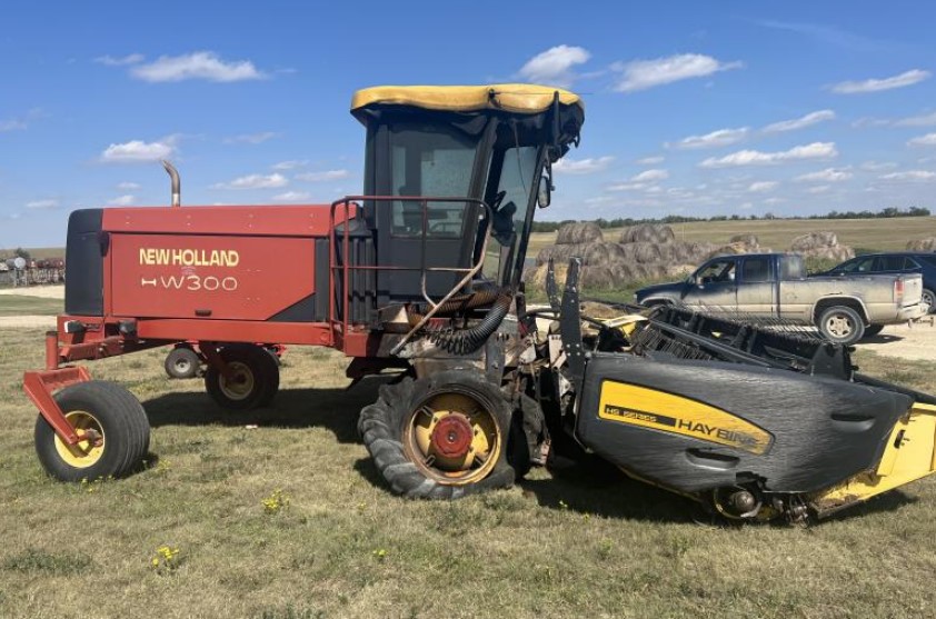 2004 New Holland HW300 Windrower - Image 3