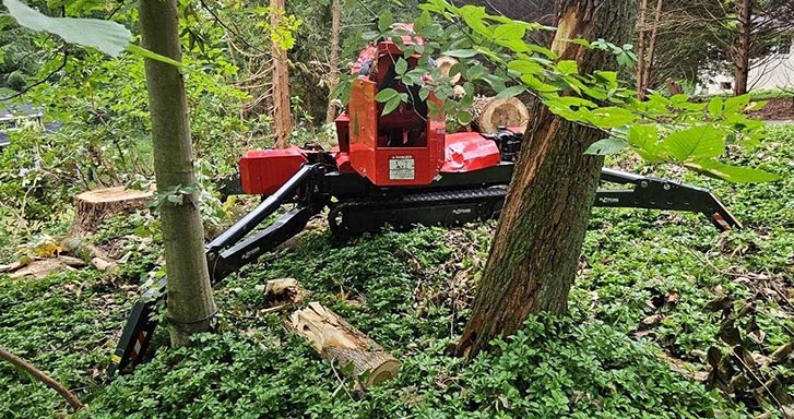 2021 Platform Basket PB27.14 Lift - Image 6