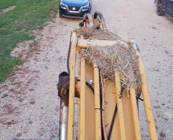 2023 Caterpillar 315GC TC Excavator - Image 17