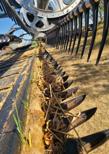 2023 MacDon FD245 Header - Image 2