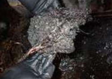 2001 Gehl 5635 SX Skid Steer - Image 4