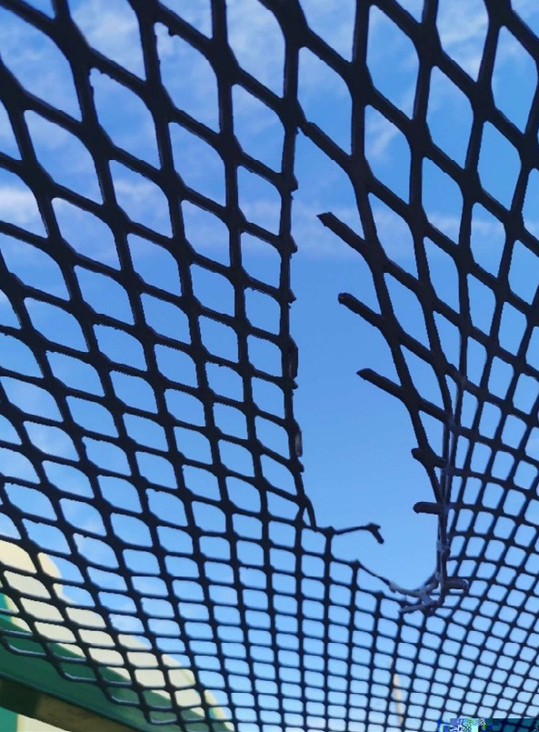 Rain Flo 1600 Series II Transplanter - Image 9