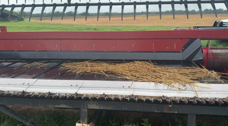 2014 Case IH 3162 Draper Header - Image 9