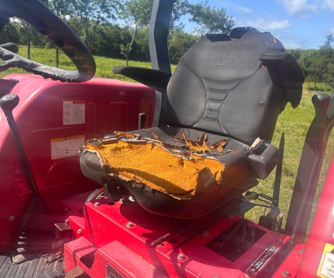 2019 Mahindra 5555 Tractor with 5565 Loader - Image 17