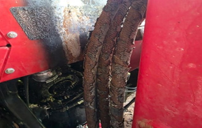 2000 Massey Ferguson 243 Tractor - Image 8