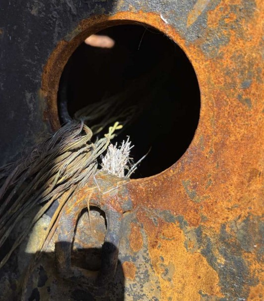 2018 ASV RT120F Compact Track Loader - Image 22