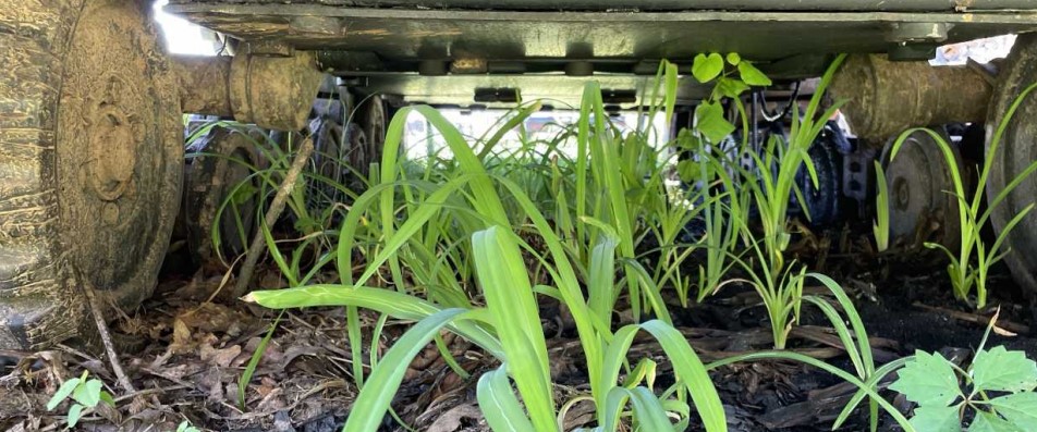 2018 ASV RT120F Compact Track Loader - Image 23