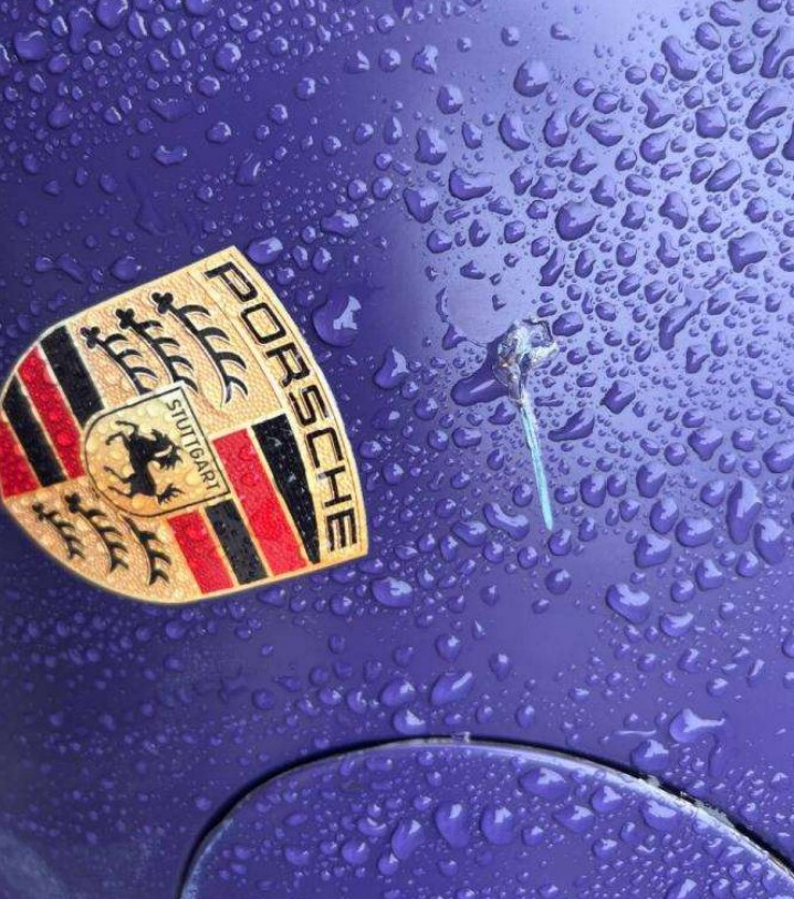 2016 Porsche 911 GT3 RS - Image 16