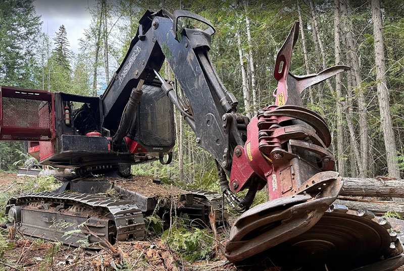 2019 Timber Pro TL755D Feller Buncher - Image 11