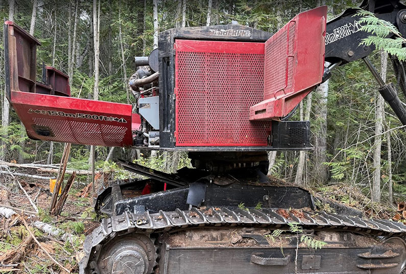 2019 Timber Pro TL755D Feller Buncher - Image 13