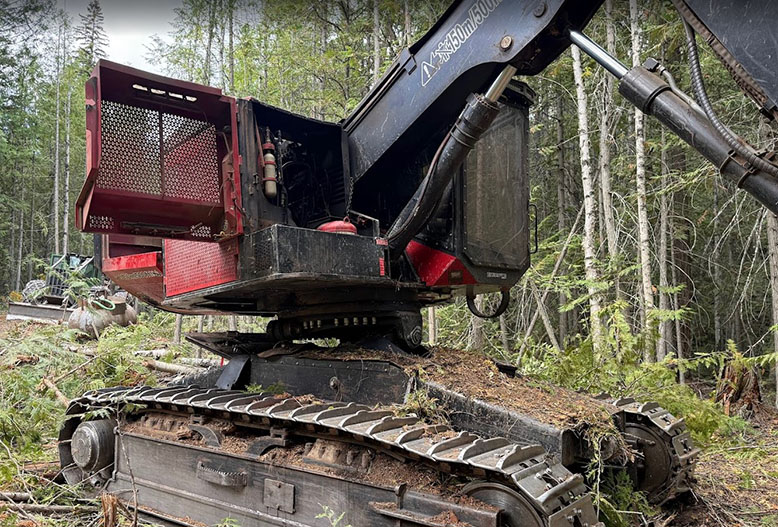 2019 Timber Pro TL755D Feller Buncher - Image 14