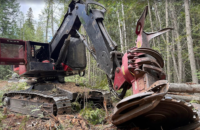 2019 Timber Pro TL755D Feller Buncher - Image 15