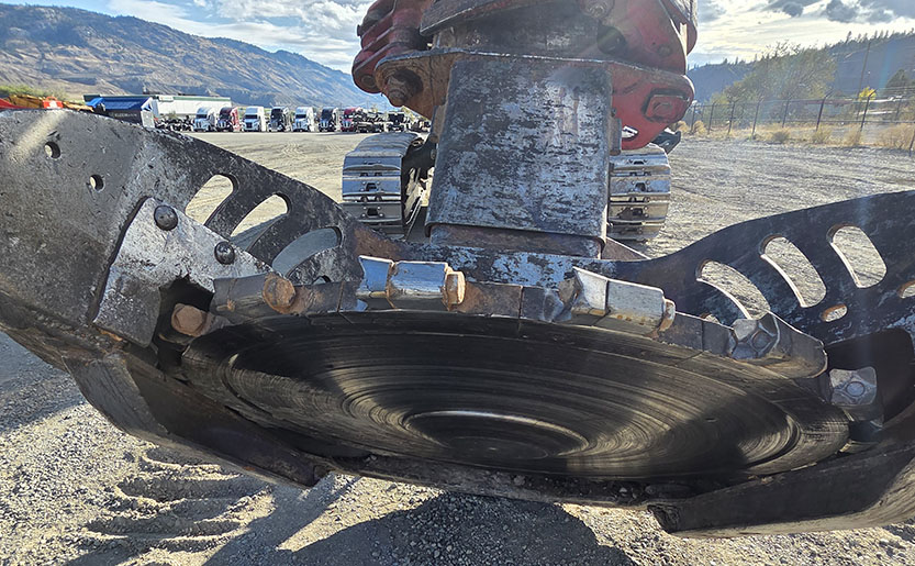 2019 Timber Pro TL755D Feller Buncher - Image 19