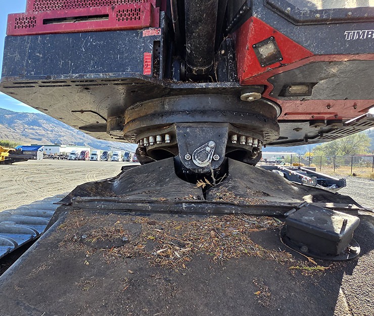 2019 Timber Pro TL755D Feller Buncher - Image 28