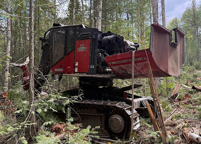 2019 Timber Pro TL755D Feller Buncher - Image 9