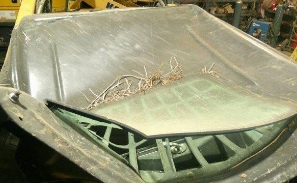 2021 Caterpillar 289D3 Skid Steer - Image 24