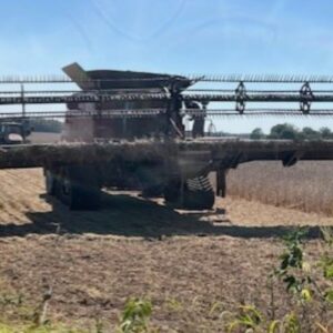 2021 MacDon FD140 Header