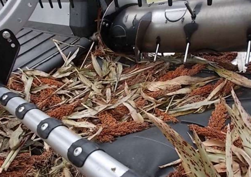 2022 MacDon FD240 Header - Image 8