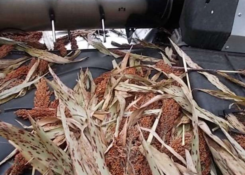 2022 MacDon FD240 Header - Image 9