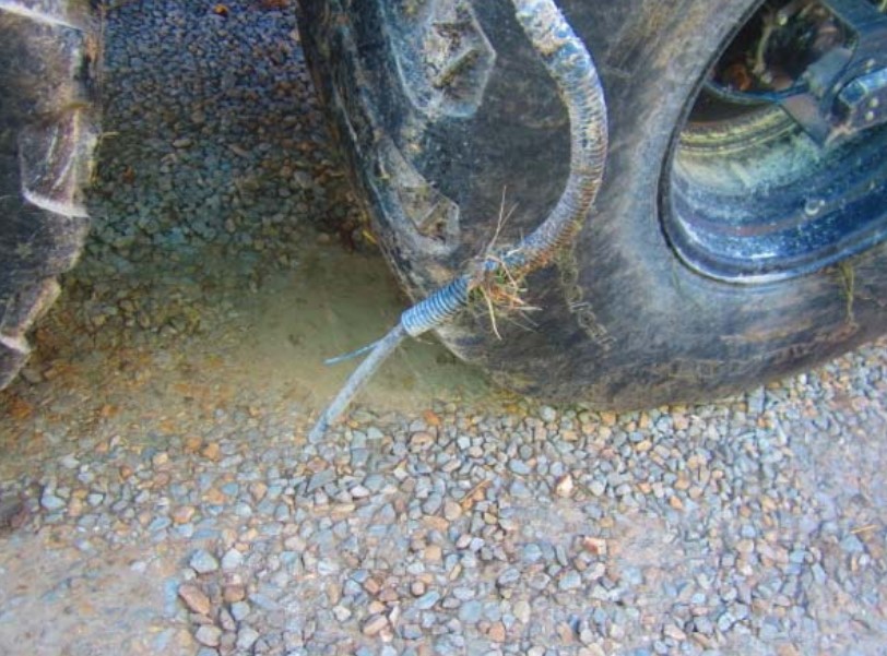 2024 GEA EL48-8D-8800 Manure Spreader - Image 15